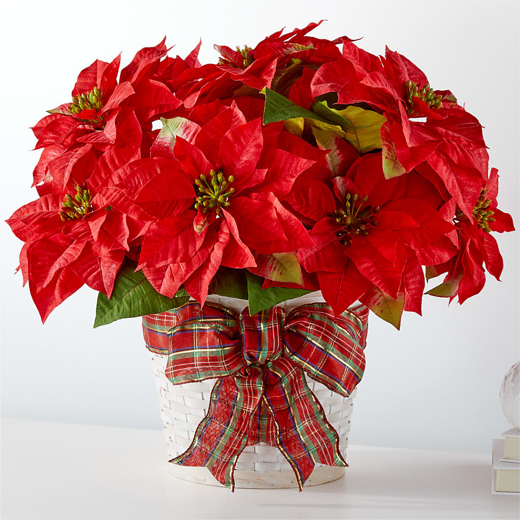 Happiest Holidays Poinsettia – TREASURE HUT FLOWERS GIFTS & GHSES, Delavan WI