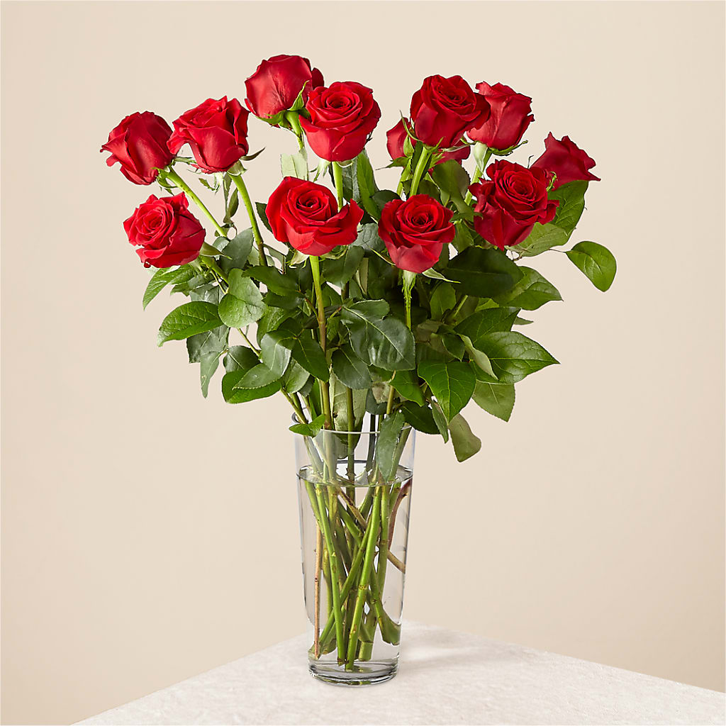 Long Stem Red Rose Bouquet – TREASURE HUT FLOWERS GIFTS & GHSES, Delavan WI