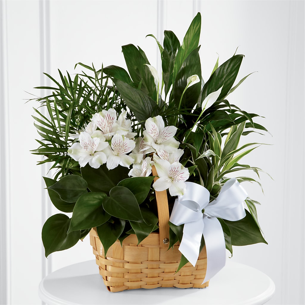 Peace & Serenity Dishgarden – TREASURE HUT FLOWERS GIFTS & GHSES, Delavan WI