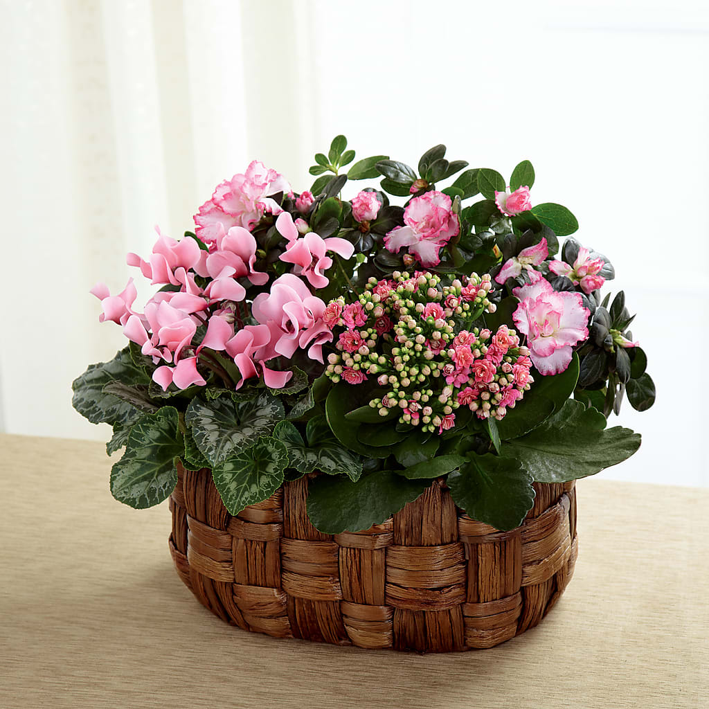 Pink Assortment – TREASURE HUT FLOWERS GIFTS & GHSES, Delavan WI