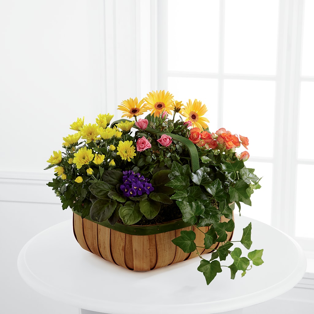 Gentle Blossoms Basket – TREASURE HUT FLOWERS GIFTS & GHSES, Delavan WI