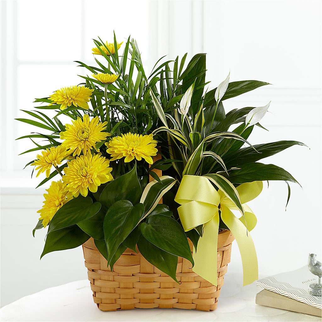 Loving Light Dishgarden – TREASURE HUT FLOWERS GIFTS & GHSES, Delavan WI