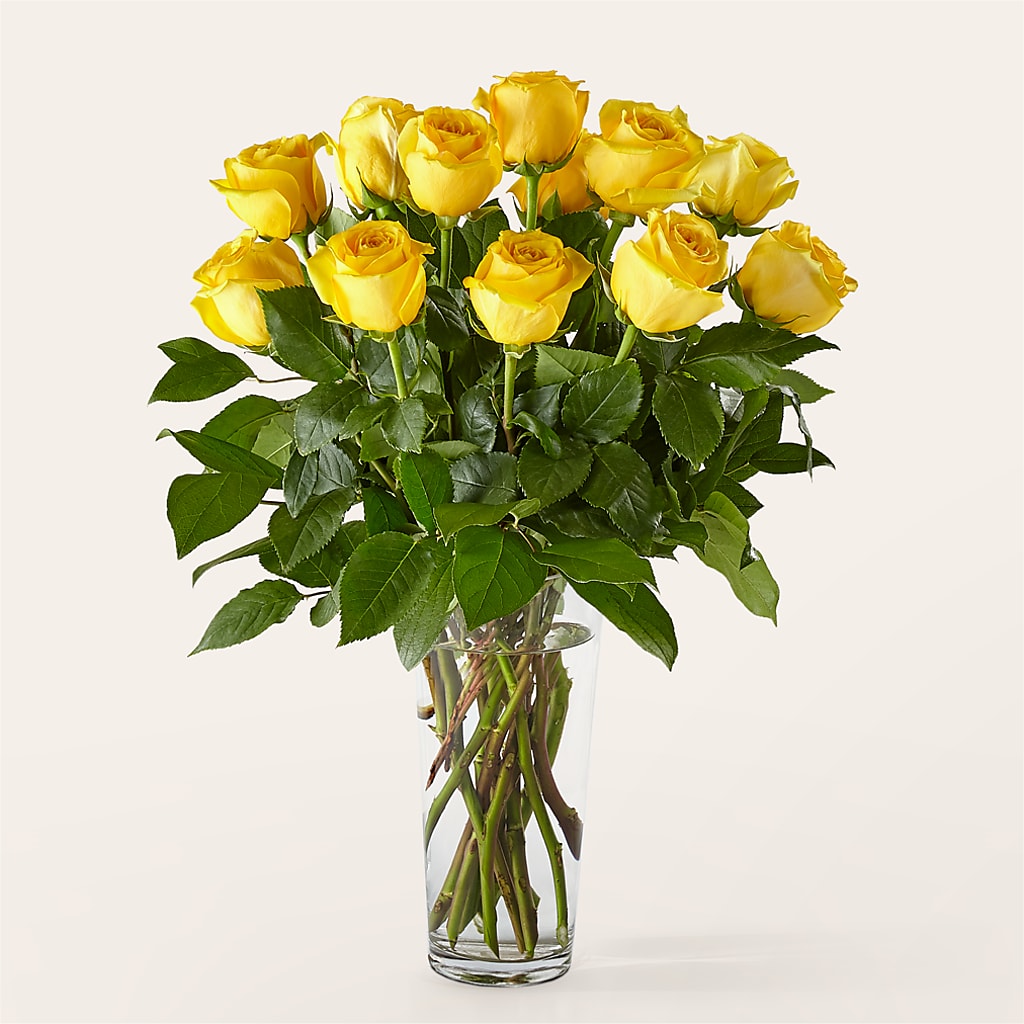 Long Stem Yellow Rose Bouquet – TREASURE HUT FLOWERS GIFTS & GHSES, Delavan WI