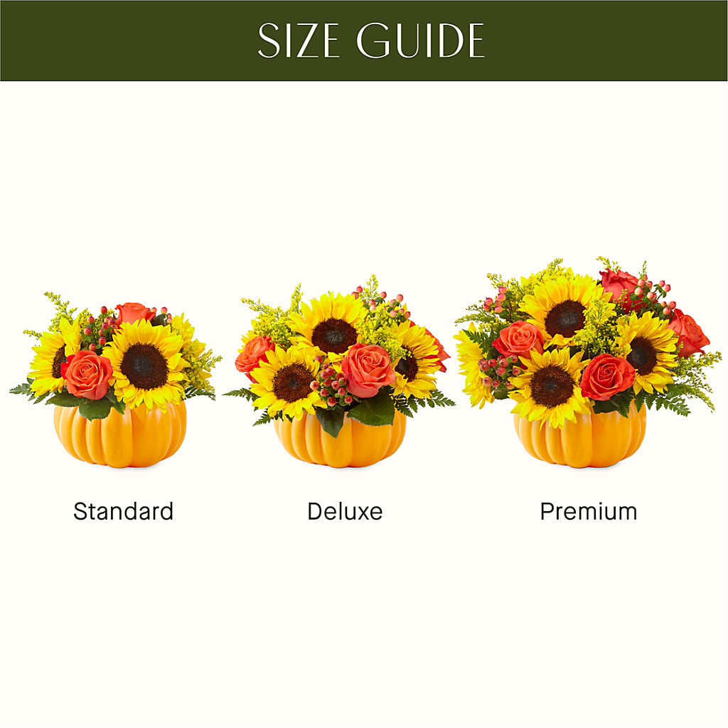 Pick of the Patch Pumpkin Bouquet – TREASURE HUT FLOWERS GIFTS & GHSES, Delavan WI