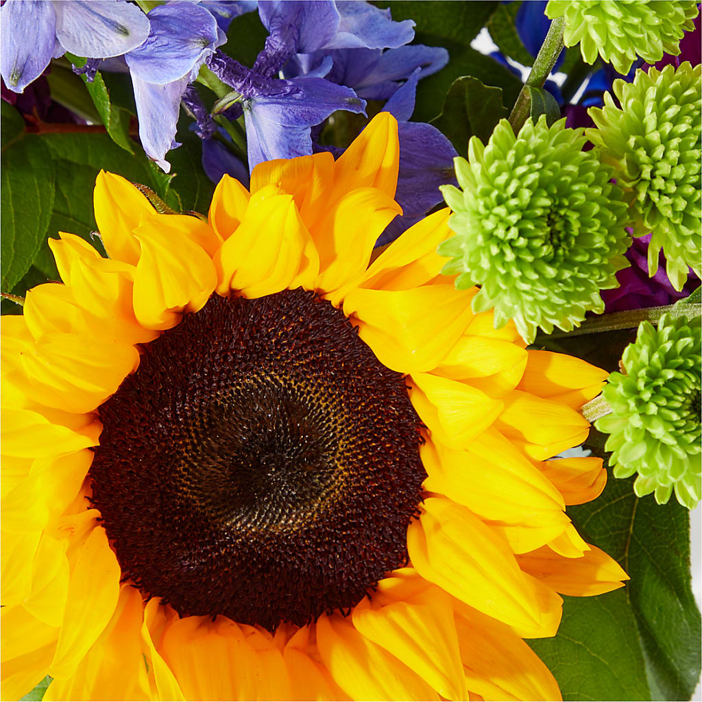 Catching Rays Bouquet – TREASURE HUT FLOWERS GIFTS & GHSES, Delavan WI