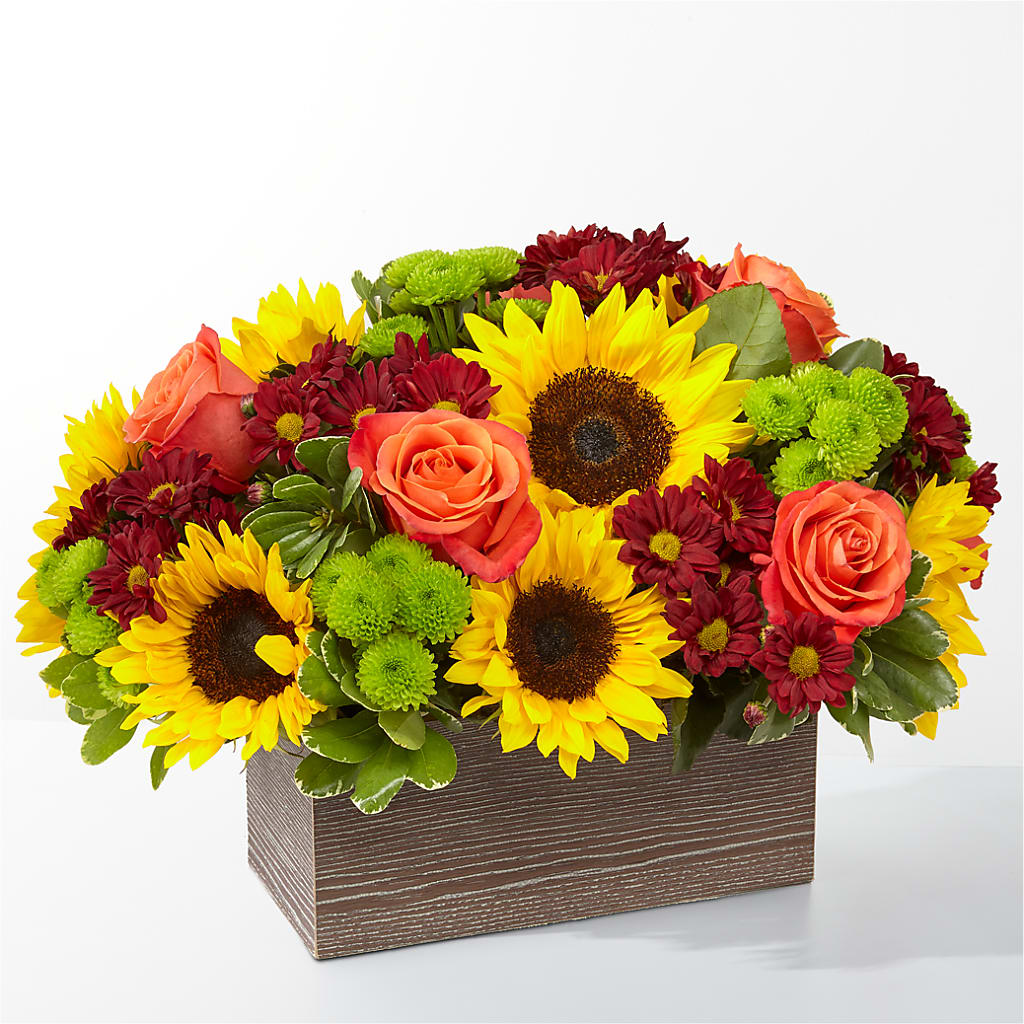 Happy Harvest Garden – TREASURE HUT FLOWERS GIFTS & GHSES, Delavan WI