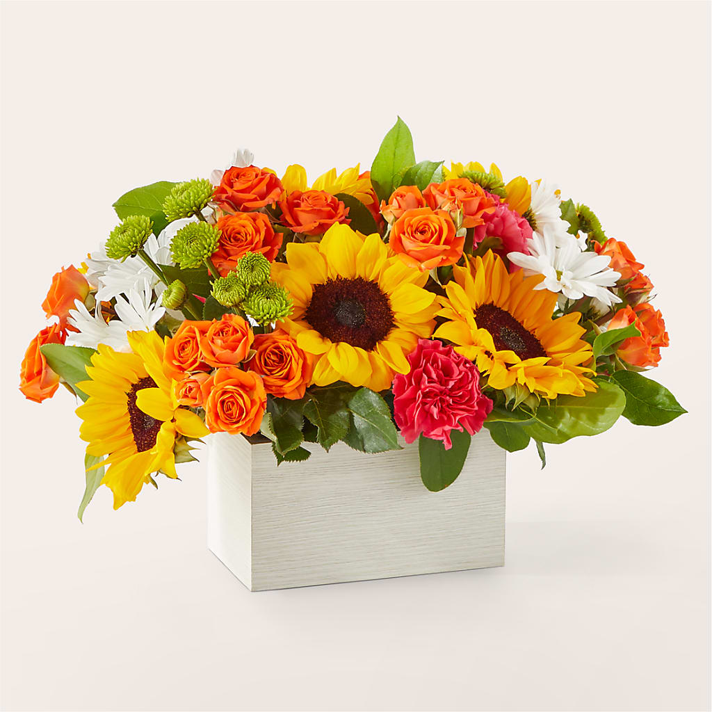 Sun-drenched Blooms Box Bouquet – TREASURE HUT FLOWERS GIFTS & GHSES, Delavan WI