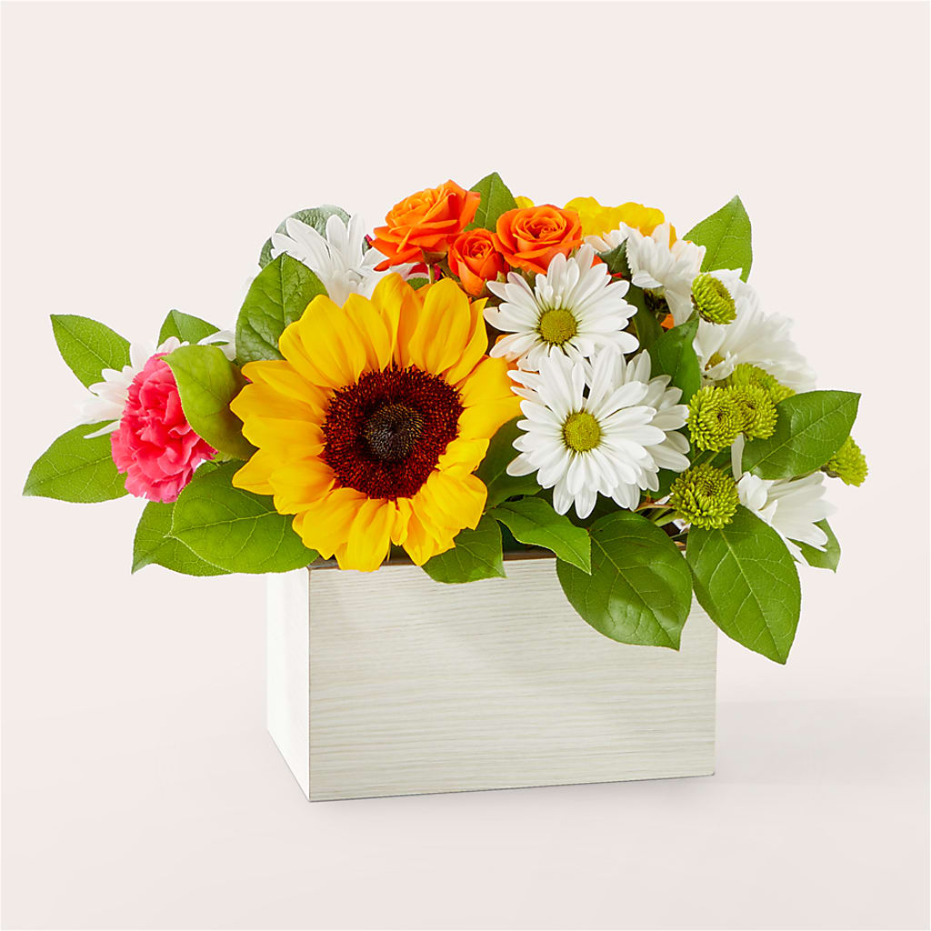 Sun-drenched Blooms Box Bouquet – TREASURE HUT FLOWERS GIFTS & GHSES, Delavan WI