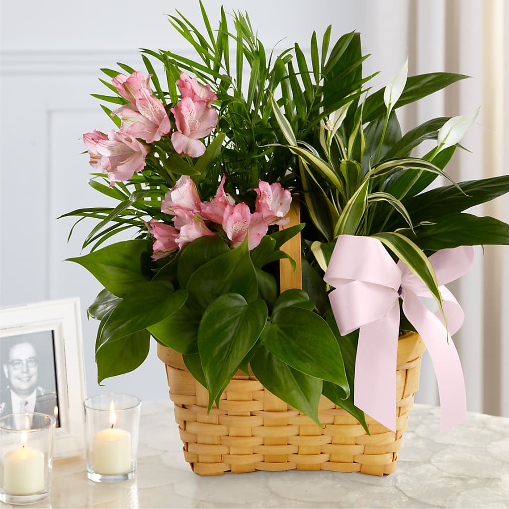 Living Spirit Dishgarden – TREASURE HUT FLOWERS GIFTS & GHSES, Delavan WI