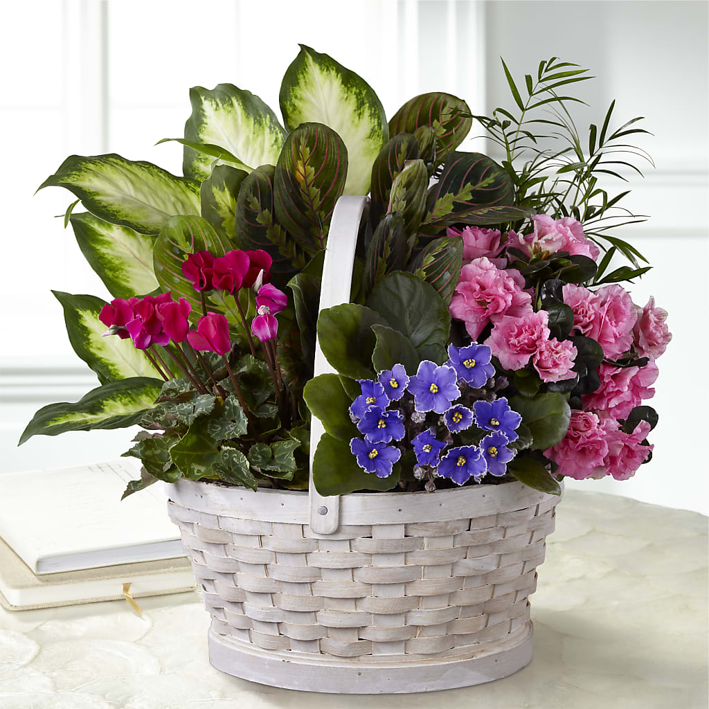 Peaceful Garden Planter – TREASURE HUT FLOWERS GIFTS & GHSES, Delavan WI