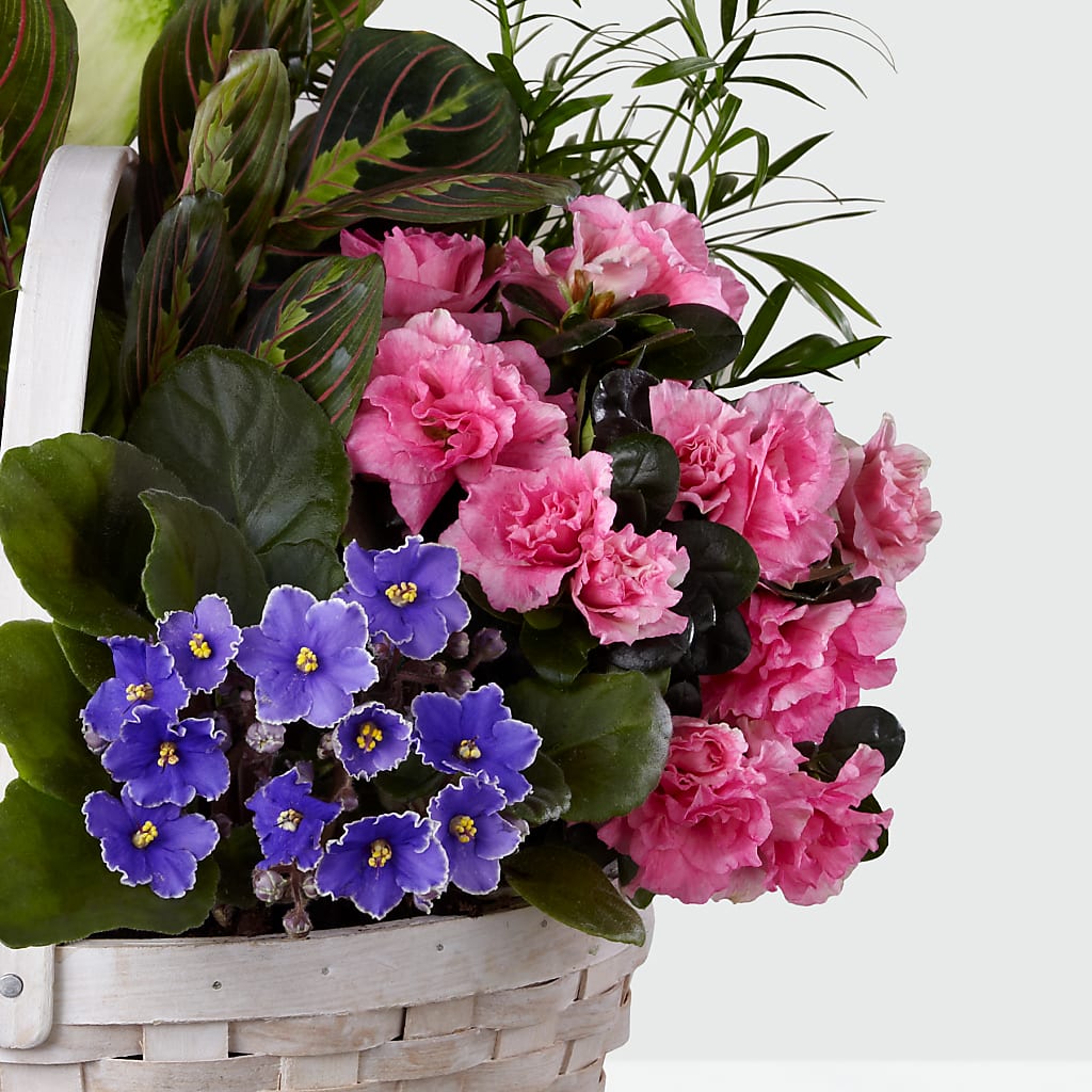Peaceful Garden Planter – TREASURE HUT FLOWERS GIFTS & GHSES, Delavan WI