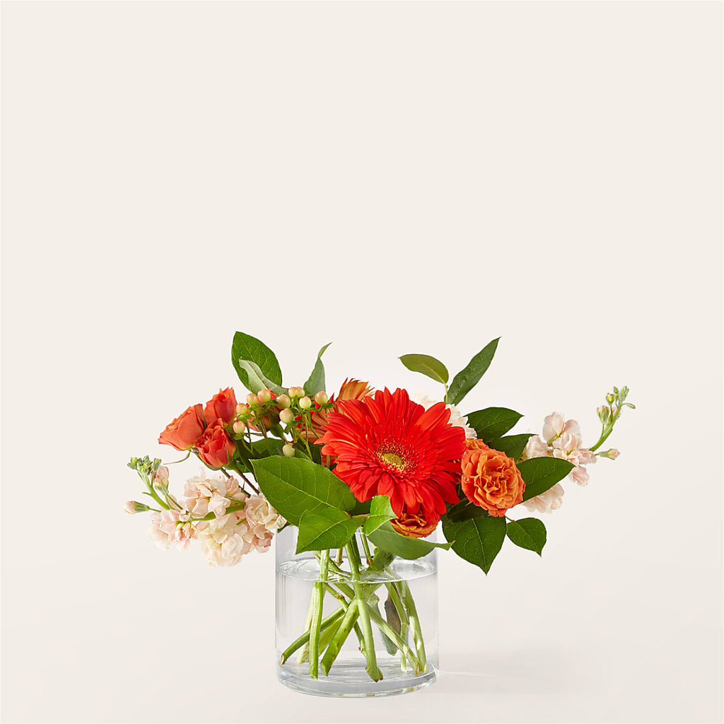 Paloma Please Bouquet – TREASURE HUT FLOWERS GIFTS & GHSES, Delavan WI
