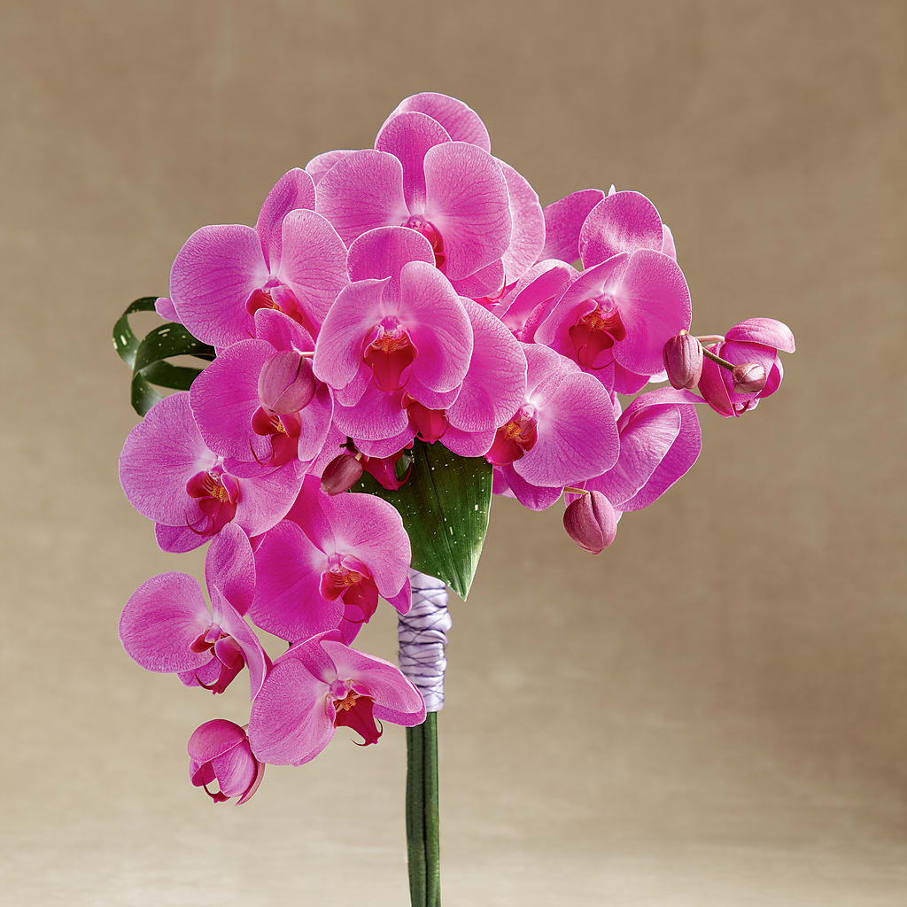Glorious Bouquet – TREASURE HUT FLOWERS GIFTS & GHSES, Delavan WI