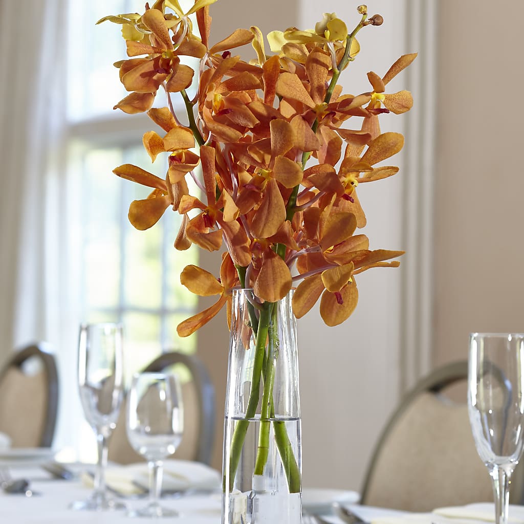 Orange Mokara Bud Vase – TREASURE HUT FLOWERS GIFTS & GHSES, Delavan WI