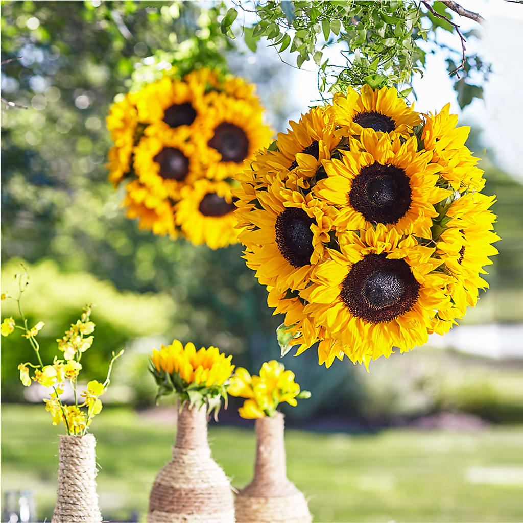 Sublime Garden Hanging Arrangement – TREASURE HUT FLOWERS GIFTS & GHSES, Delavan WI
