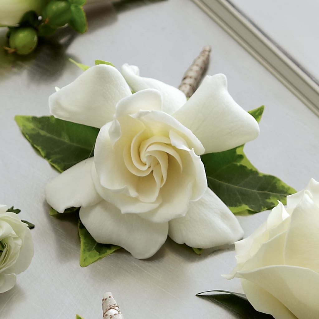 Gardenia Boutonniere – TREASURE HUT FLOWERS GIFTS & GHSES, Delavan WI