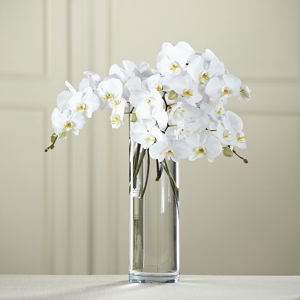 White Phalaenopsis Bouquet – TREASURE HUT FLOWERS GIFTS & GHSES, Delavan WI