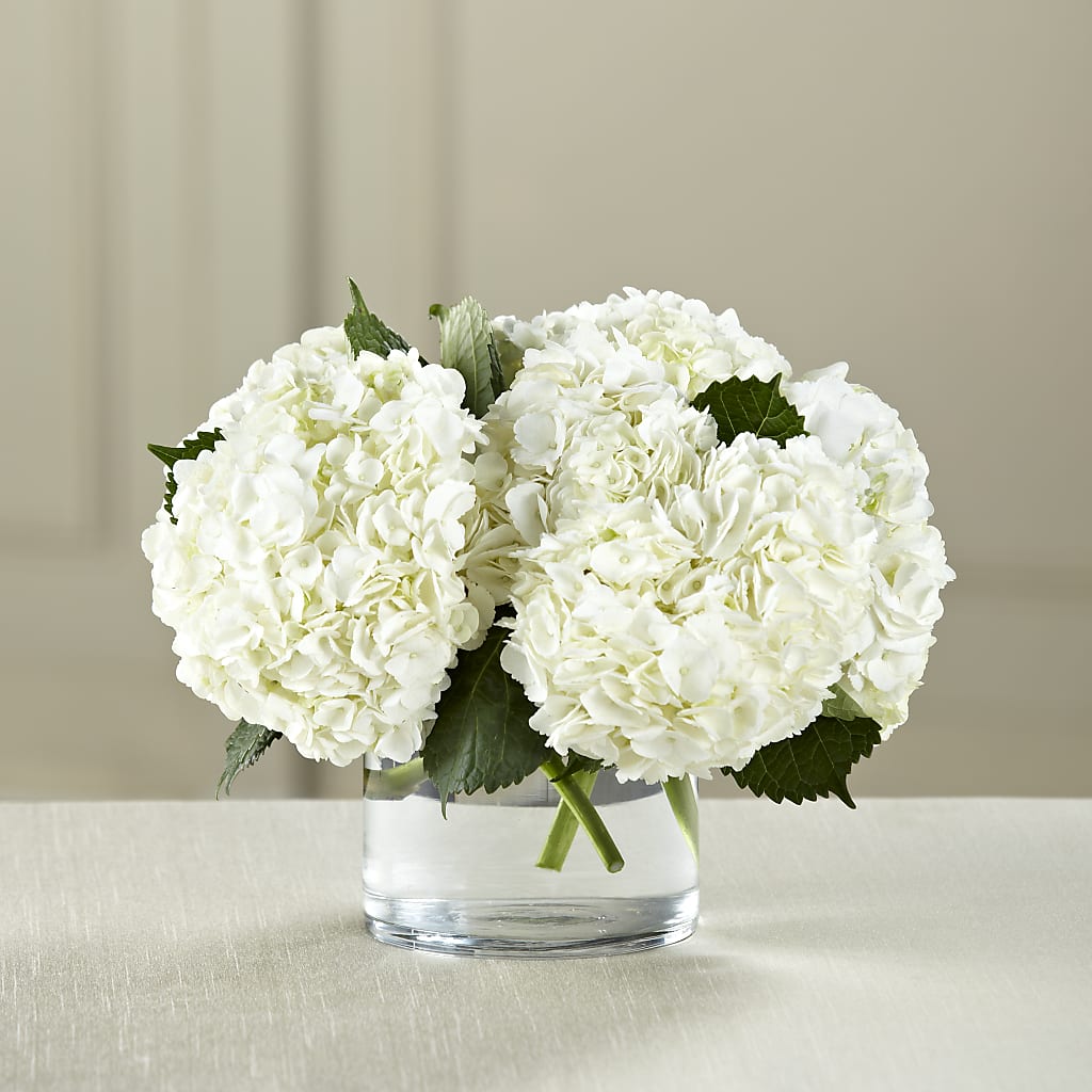 White Hydrangea Bouquet – TREASURE HUT FLOWERS GIFTS & GHSES, Delavan WI