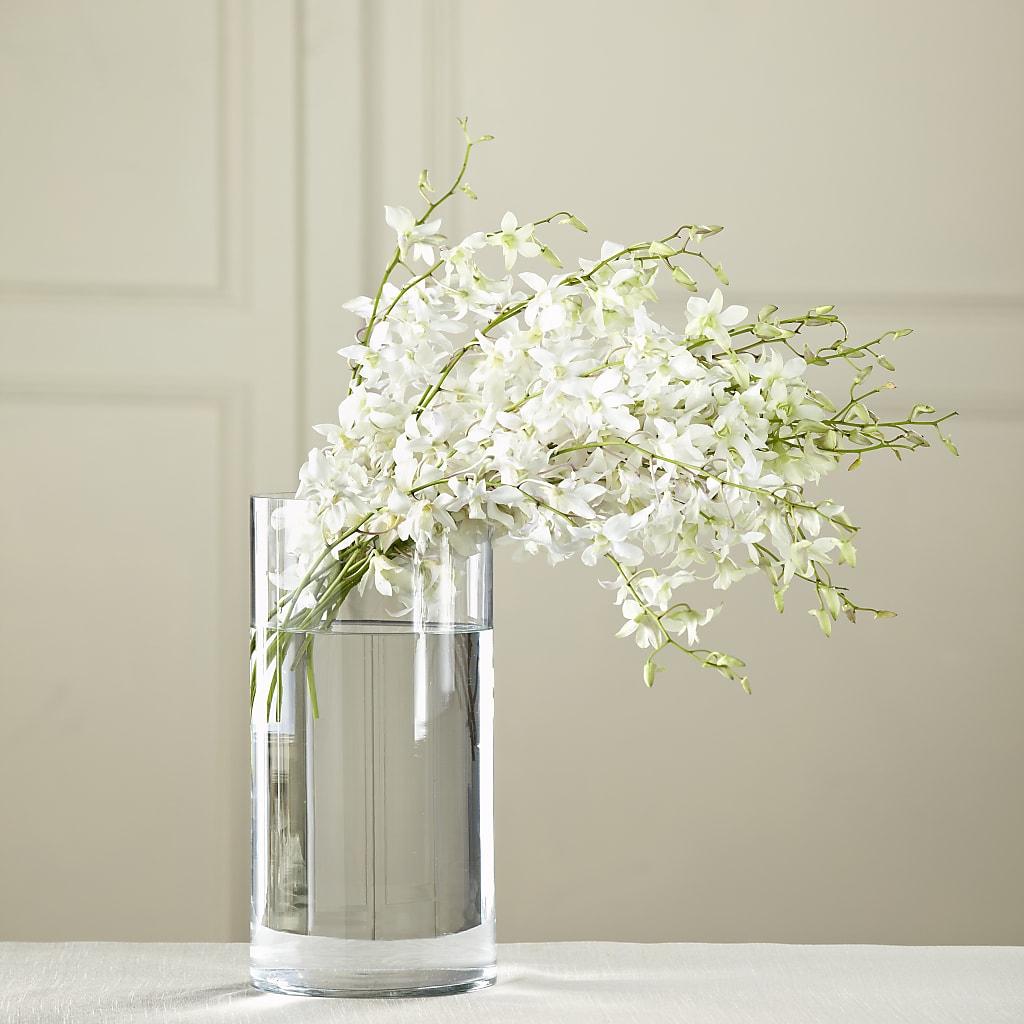 White Dendrobium Bouquet – TREASURE HUT FLOWERS GIFTS & GHSES, Delavan WI