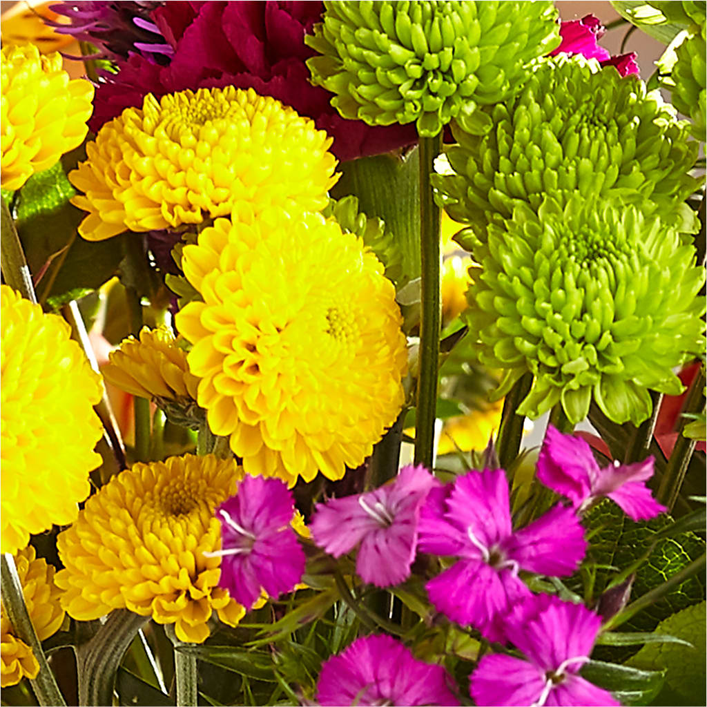 Bold & Bright – A Florist Original – TREASURE HUT FLOWERS GIFTS & GHSES, Delavan WI