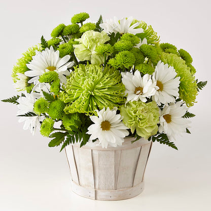 Lucky Charm Basket (Standard) – TREASURE HUT FLOWERS GIFTS & GHSES, Delavan WI