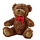 Adorable Plush Bear – TREASURE HUT FLOWERS GIFTS & GHSES, Delavan WI