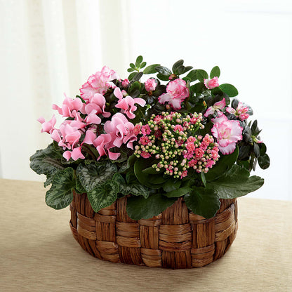 Pink Assortment – TREASURE HUT FLOWERS GIFTS & GHSES, Delavan WI