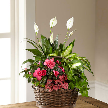 Dream in Pink Dishgarden – TREASURE HUT FLOWERS GIFTS & GHSES, Delavan WI