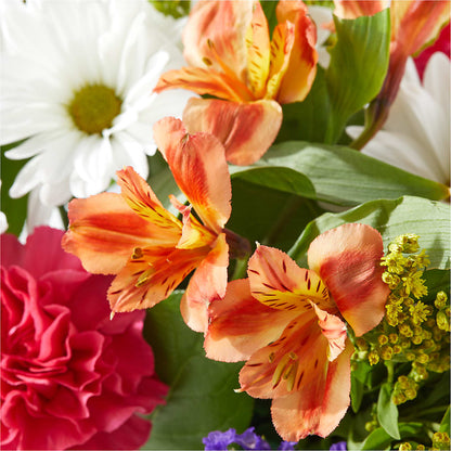 Oopsie Daisy Box Bouquet – TREASURE HUT FLOWERS GIFTS & GHSES, Delavan WI