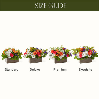 Oopsie Daisy Box Bouquet – TREASURE HUT FLOWERS GIFTS & GHSES, Delavan WI