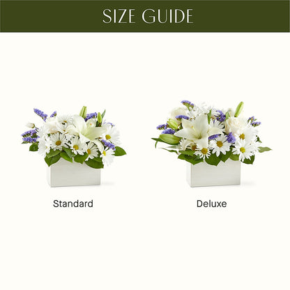 Beyond Blue Box Bouquet – TREASURE HUT FLOWERS GIFTS & GHSES, Delavan WI