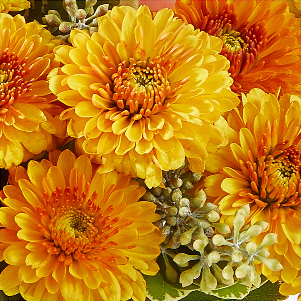 Peachy Pumpkin – TREASURE HUT FLOWERS GIFTS & GHSES, Delavan WI