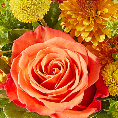 Gourdgeous Pumpkin – TREASURE HUT FLOWERS GIFTS & GHSES, Delavan WI