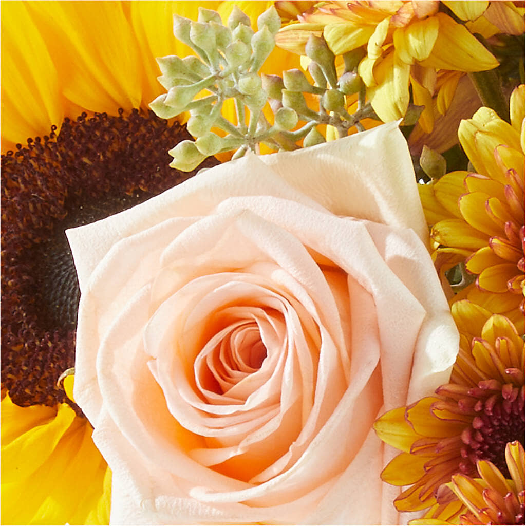 Pumpkin to Talk About Bouquet – TREASURE HUT FLOWERS GIFTS & GHSES, Delavan WI