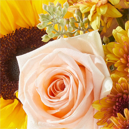 Pumpkin to Talk About Bouquet – TREASURE HUT FLOWERS GIFTS & GHSES, Delavan WI