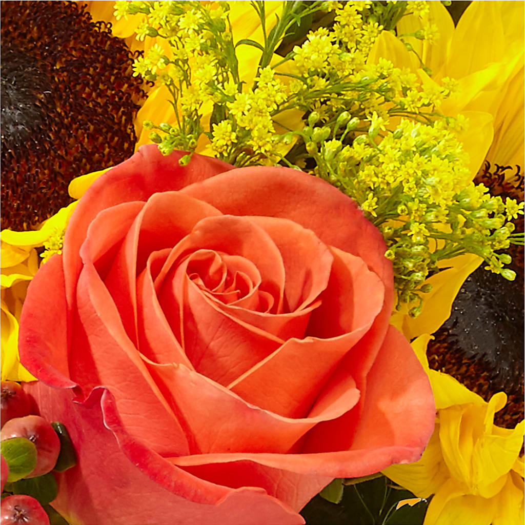 Pick of the Patch Pumpkin Bouquet – TREASURE HUT FLOWERS GIFTS & GHSES, Delavan WI
