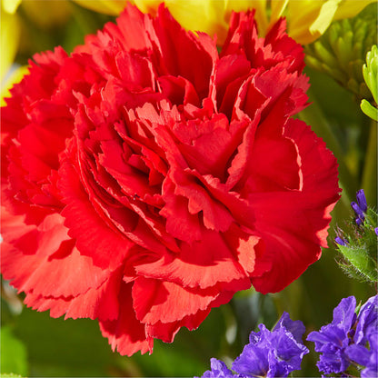 Brighter Days Bouquet – TREASURE HUT FLOWERS GIFTS & GHSES, Delavan WI