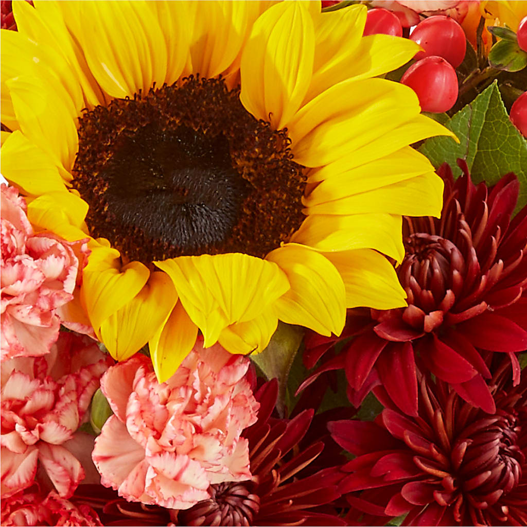 Fresh Cider Bouquet – TREASURE HUT FLOWERS GIFTS & GHSES, Delavan WI