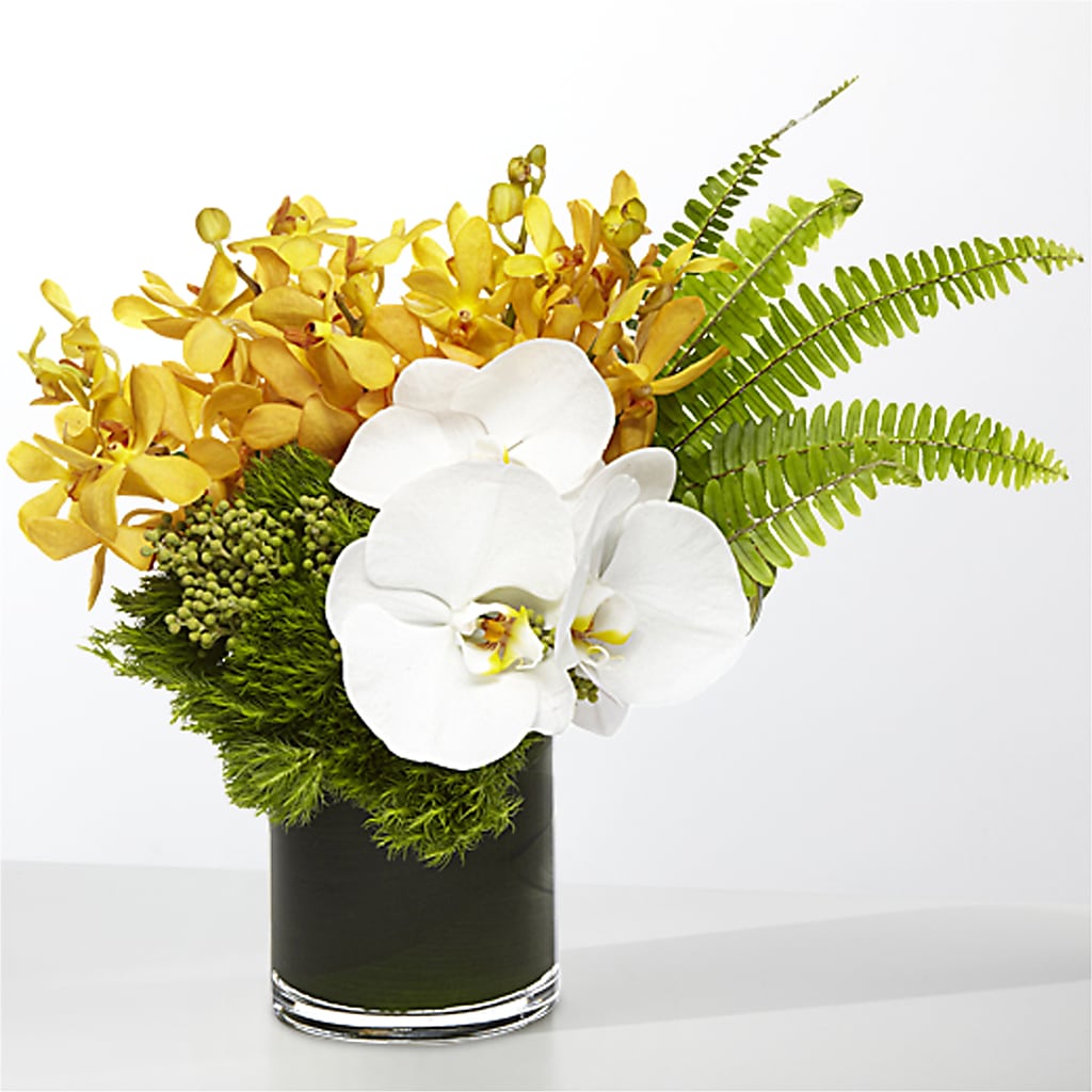 The Tropics – TREASURE HUT FLOWERS GIFTS & GHSES, Delavan WI