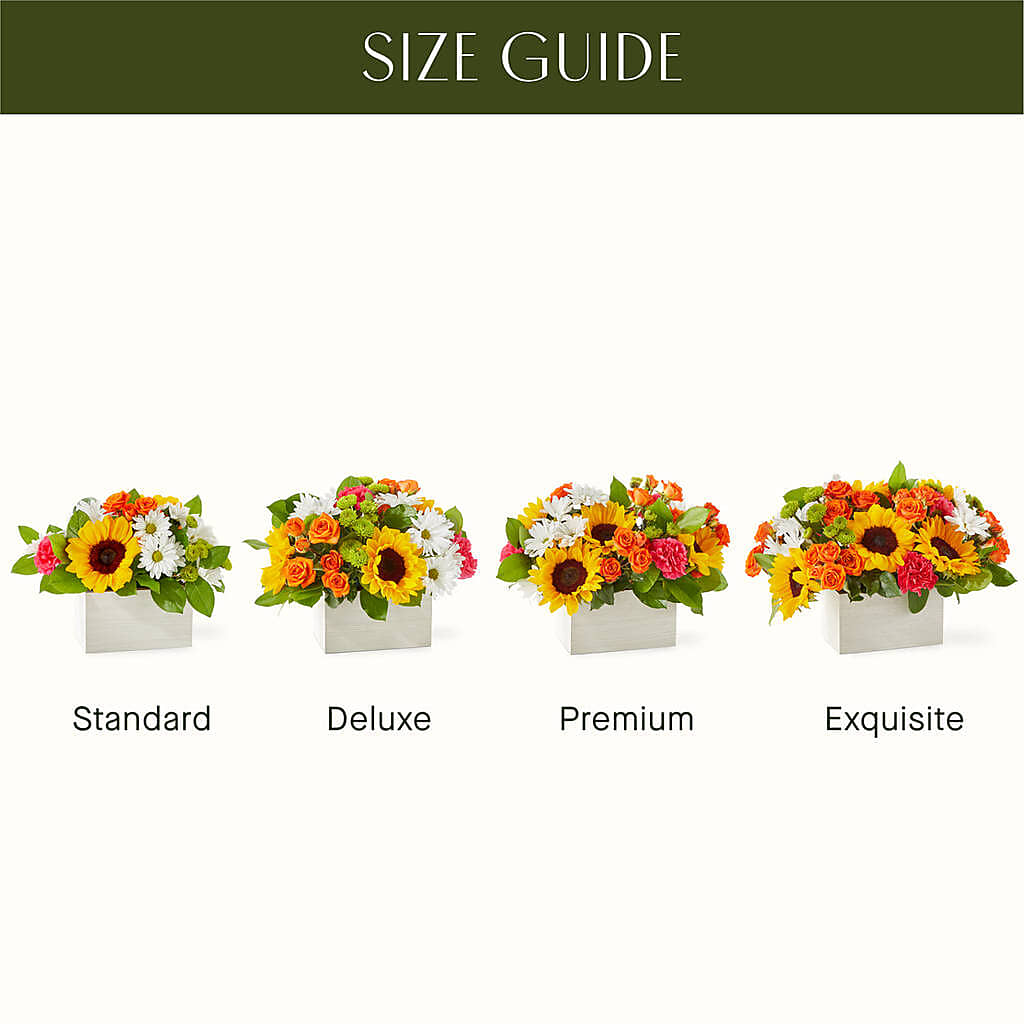 Sun-drenched Blooms Box Bouquet – TREASURE HUT FLOWERS GIFTS & GHSES, Delavan WI