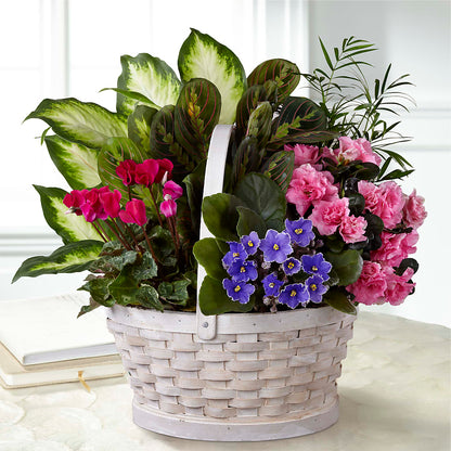 Peaceful Garden Planter – TREASURE HUT FLOWERS GIFTS & GHSES, Delavan WI