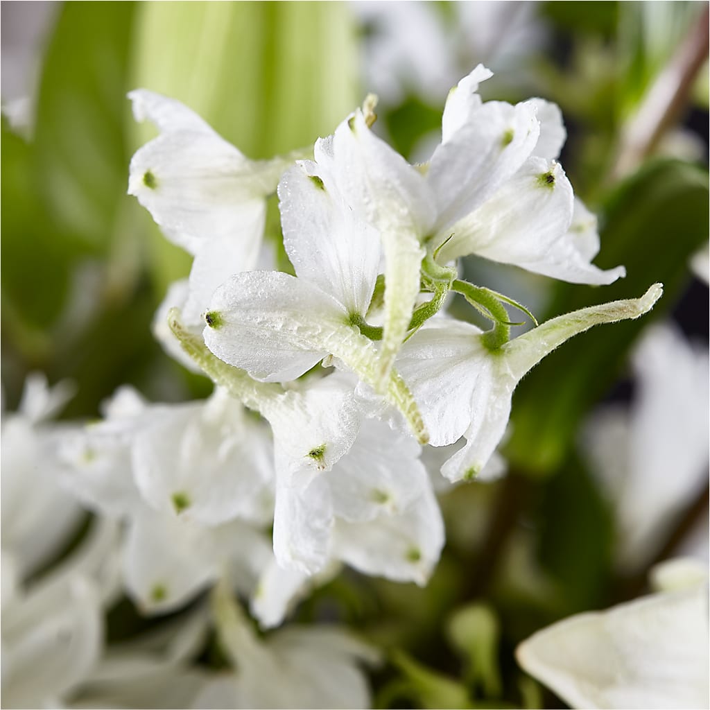 Classic Ivory – A Florist Original – TREASURE HUT FLOWERS GIFTS & GHSES, Delavan WI