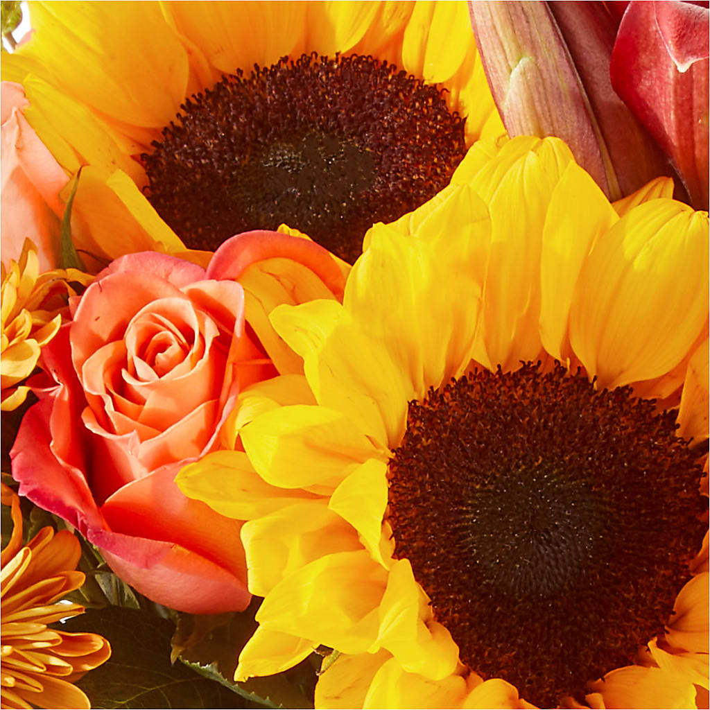 Acorn Lane Bouquet – TREASURE HUT FLOWERS GIFTS & GHSES, Delavan WI