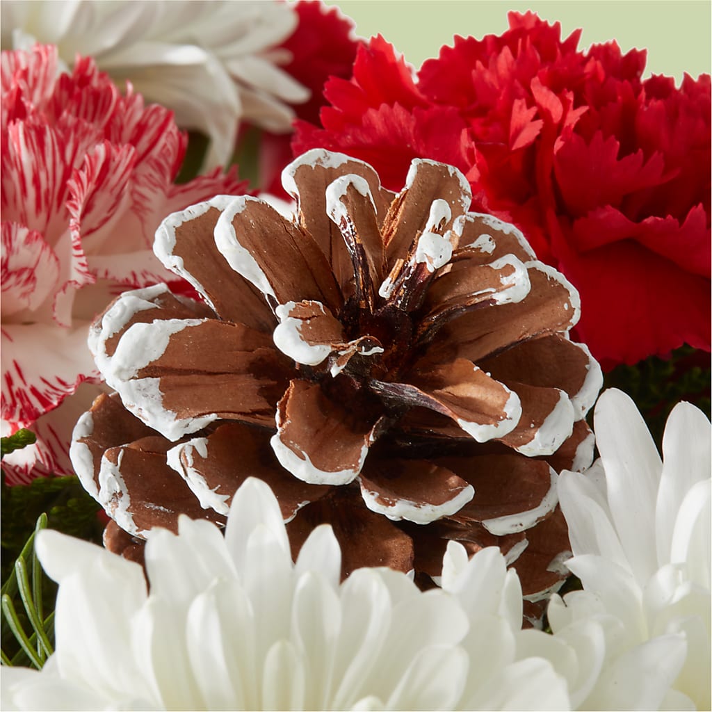 Candy Cane Lane Bouquet – TREASURE HUT FLOWERS GIFTS & GHSES, Delavan WI