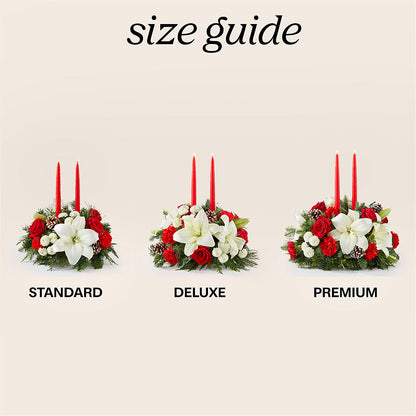 Seasonal Festivities Centerpiece – TREASURE HUT FLOWERS GIFTS & GHSES, Delavan WI
