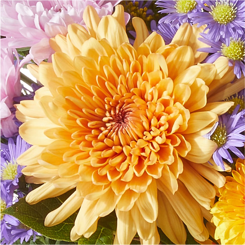 Countryside Bouquet – TREASURE HUT FLOWERS GIFTS & GHSES, Delavan WI