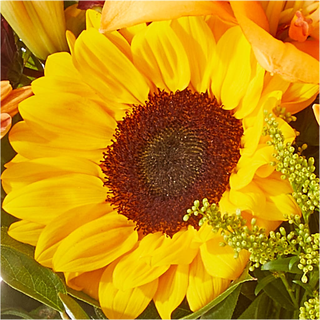 Seasons Change Bouquet – TREASURE HUT FLOWERS GIFTS & GHSES, Delavan WI