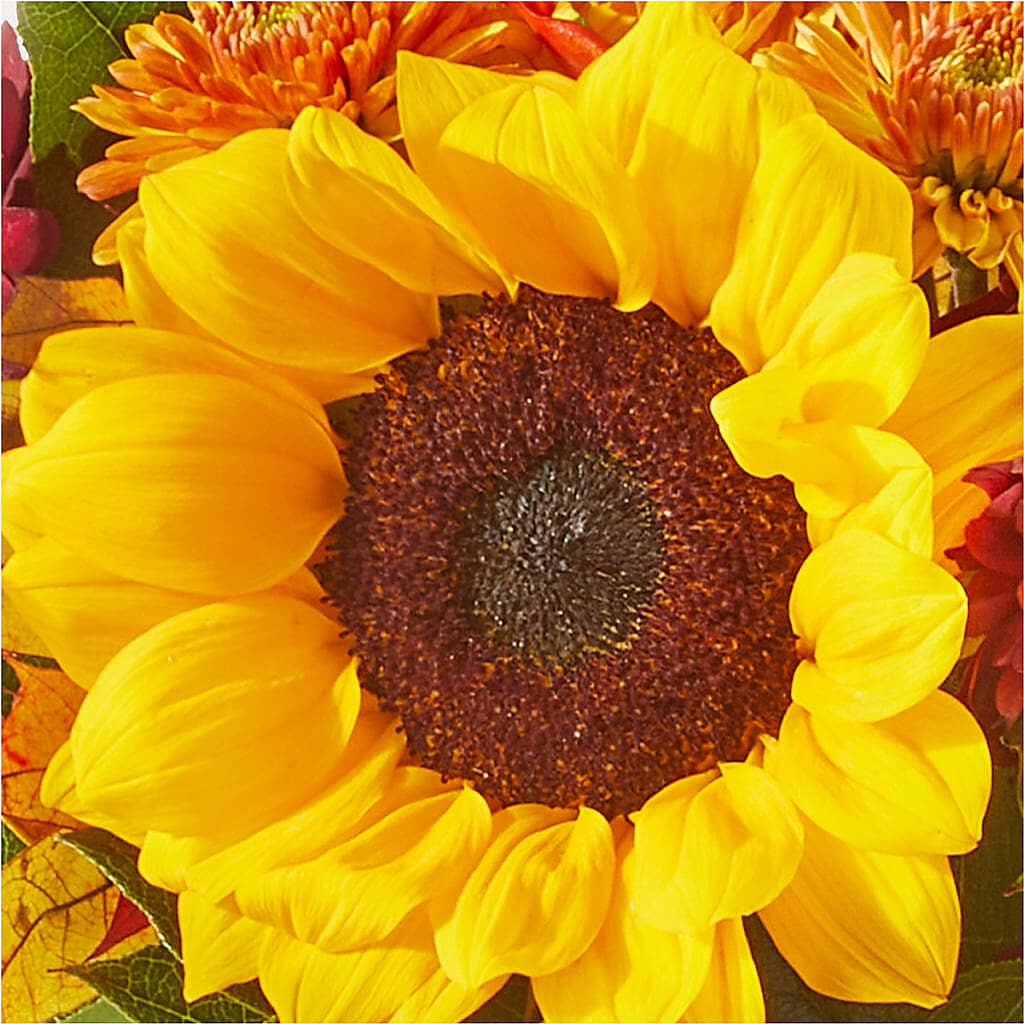 Sunny Side Bouquet – TREASURE HUT FLOWERS GIFTS & GHSES, Delavan WI