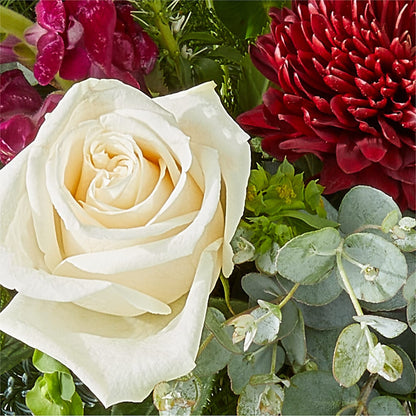 Cranberry Fizz Bouquet – TREASURE HUT FLOWERS GIFTS & GHSES, Delavan WI