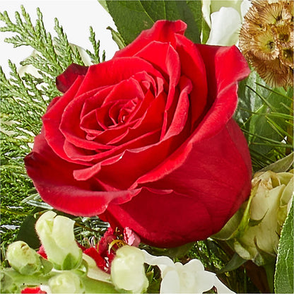 Deck the Halls Bouquet – TREASURE HUT FLOWERS GIFTS & GHSES, Delavan WI